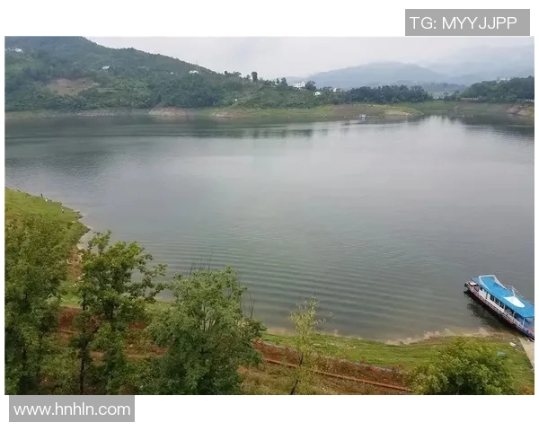 足球即时盘分析与预测技巧助你精准把握赛事动态与投注机会