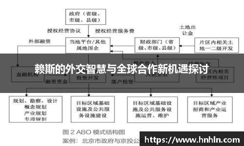 赖斯的外交智慧与全球合作新机遇探讨